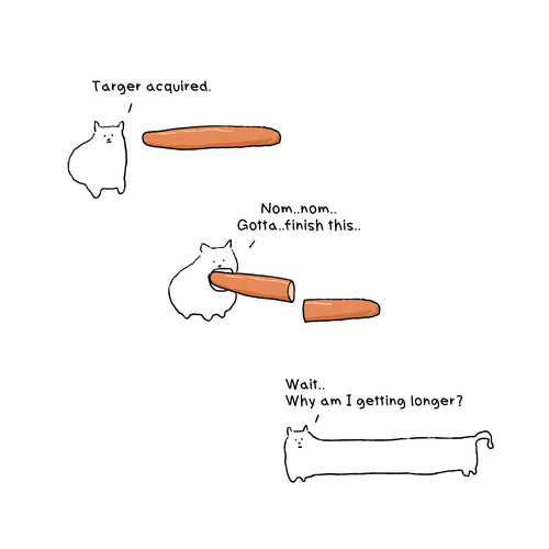 Chichi ate a hot dog T-Shirt