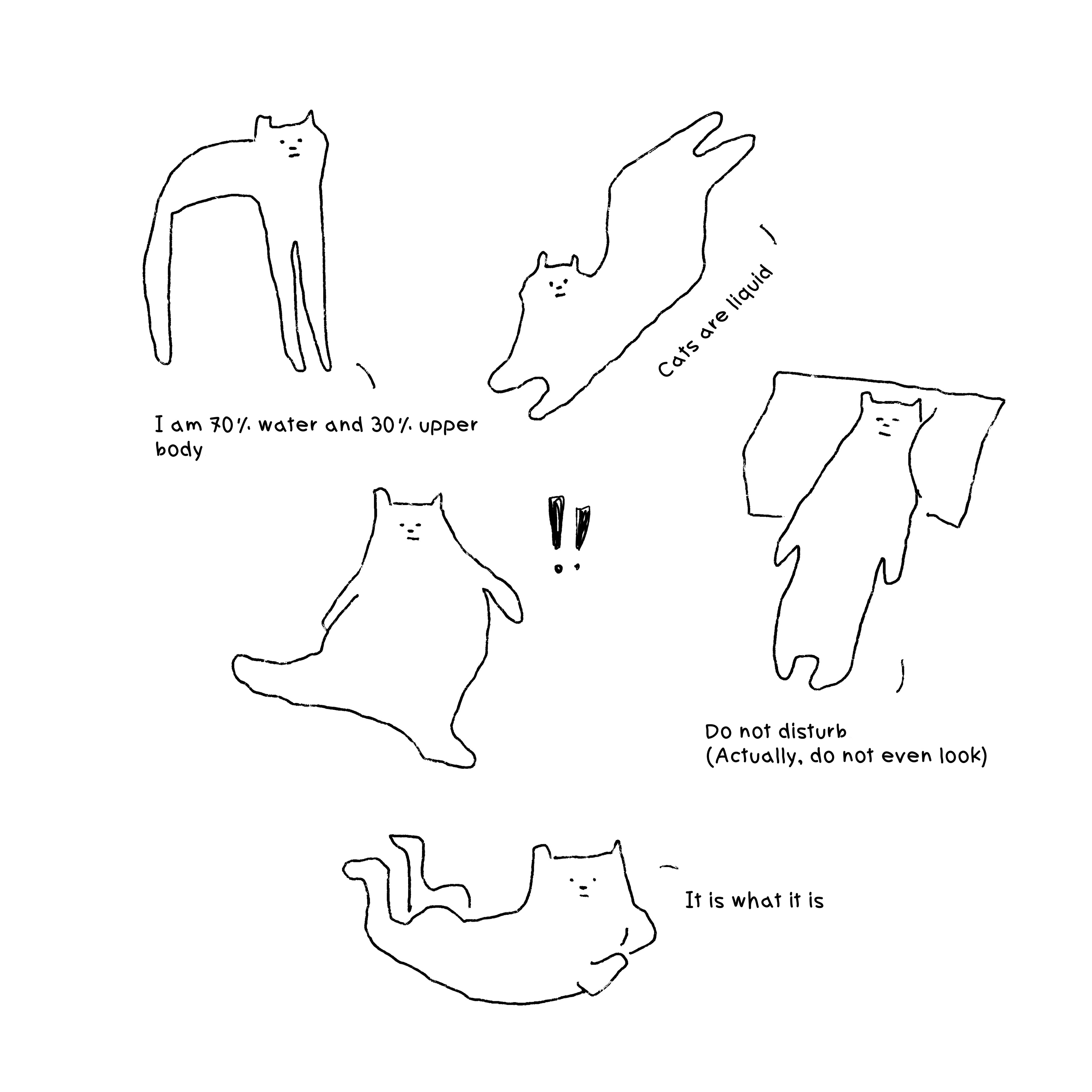 Five Chichis T-Shirt